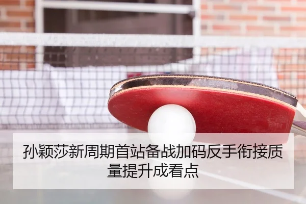 孙颖莎新周期首站备战加码反手衔接质量提升成看点